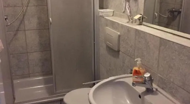 Номер Standard Hotel Restaurant Germania
