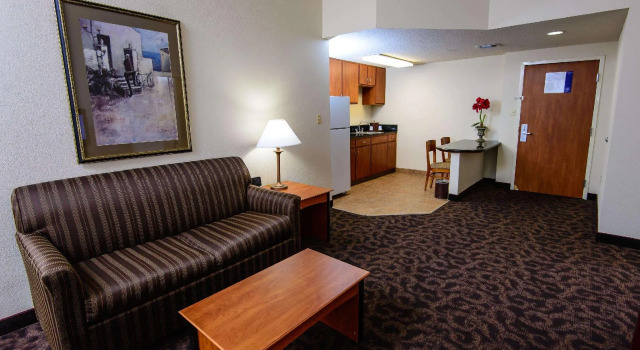 Двухместный люкс Hampton Inn Houston-Pearland, TX