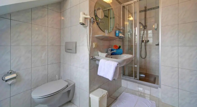 Номер Standard Hotel Hirschenstein
