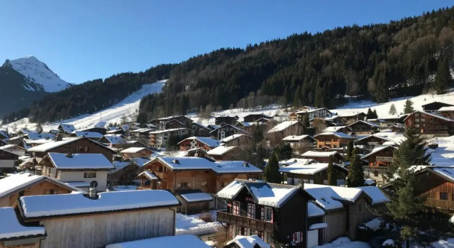 Апартаменты Neige et soleil 3EME