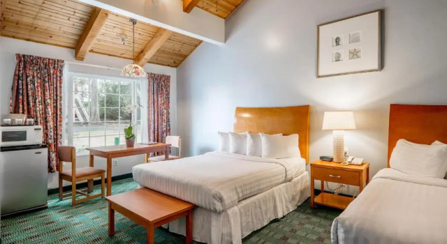 Четырёхместный номер Standard Butterfly Grove Inn