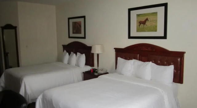 Четырёхместный номер Standard Trend Mountain Hotel & Conference Centre