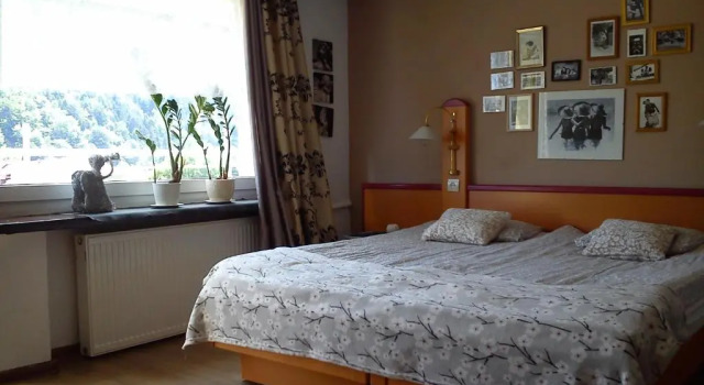 Номер Standard Willa Pod Aniołem - Pokoje Gościnne & Apartamenty z widokiem na góry
