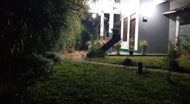 Номер Deluxe Sigiriya Danu Homestay