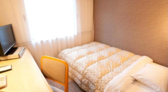 Одноместный номер Standard Toyama Manten Hotel