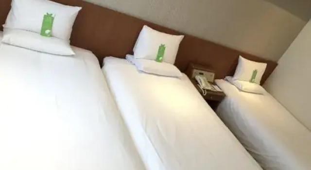 Номер Comfort International Garden Hotel Narita