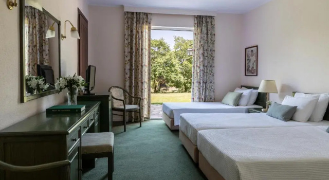 Двухместный номер Standard Amalia Hotel Meteora