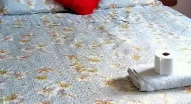 Star Guest House