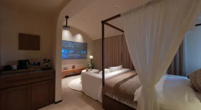 Люкс Xianghu Anna Arts Hotel