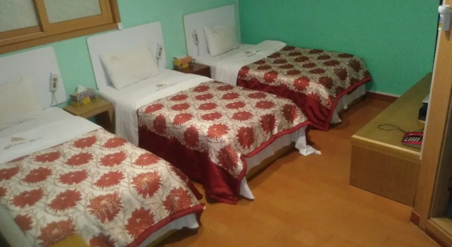 Номер Standard Golden Bee Motel