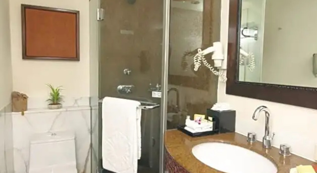 Одноместный номер Deluxe Taj Bengal