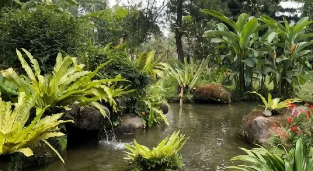 Bumi Cisarua Resort