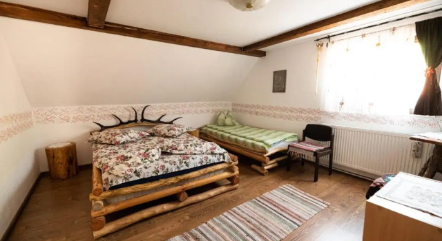 Трёхместный номер Standard с балконом и с красивым видом из окна Casa de vacanta Vidrighin