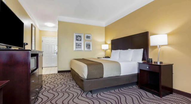 Двухместный номер Standard La Quinta Inn & Suites by Wyndham Angleton