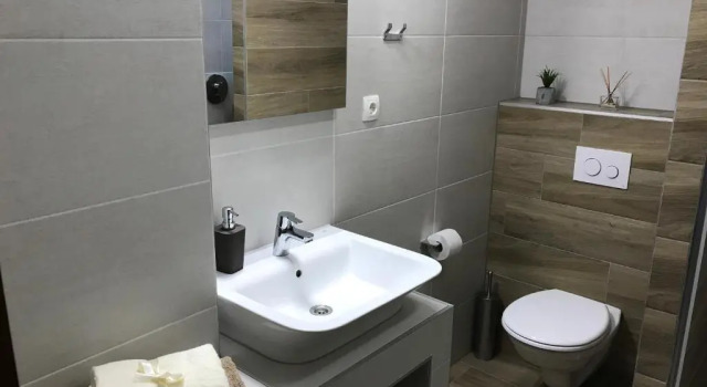 Апартаменты Цокольный этаж c 1 комнатой с балконом Plitvice Diamond Apartment