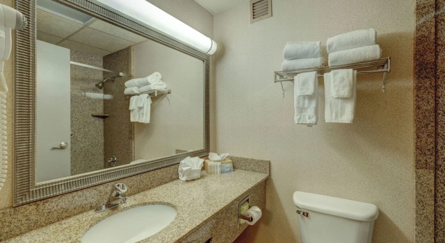 Номер Standard Riverside Hotel & Conference Center