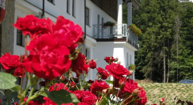 Hotel Jaworzyna Krynicka, Réserver Hôtel Krynica-Zdrój 