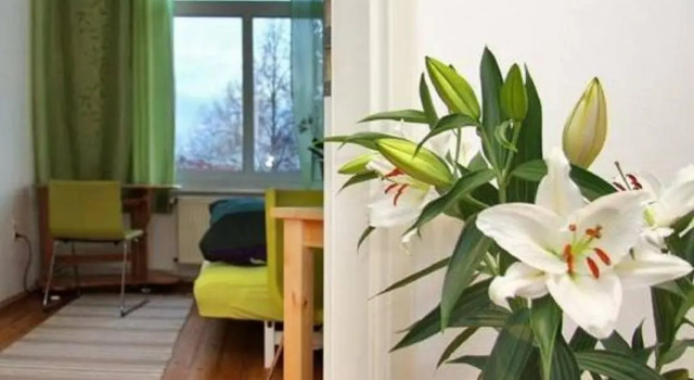 Номер Standard Private Gastezimmer Bei Ila Zimmerling