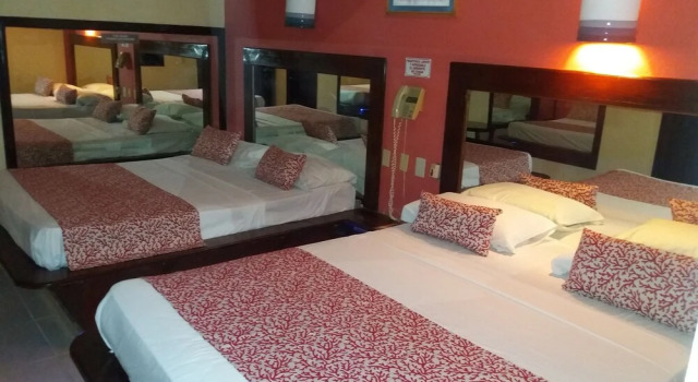 Номер Standard Hotel Mountain View