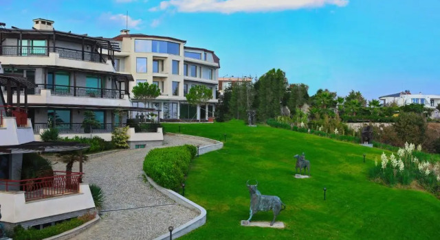 Номер Economy Art Complex Anel