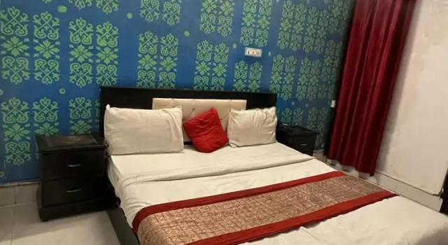 Номер Deluxe Roomshala 032 Silver Key Sector 9