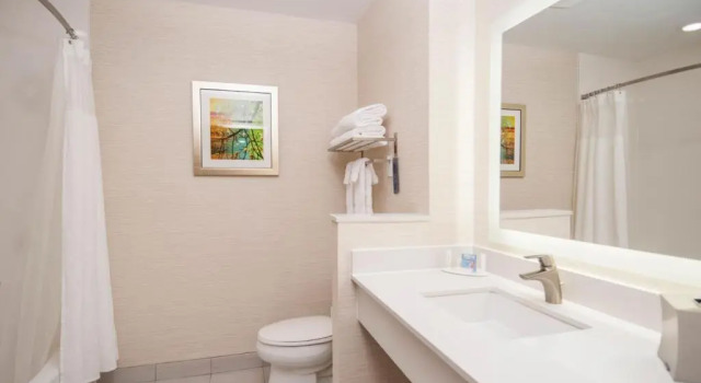 Четырёхместный люкс Fairfield Inn & Suites Dallas Plano North
