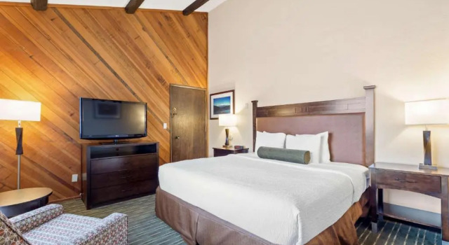 Номер Standard Best Western Plus Tree House