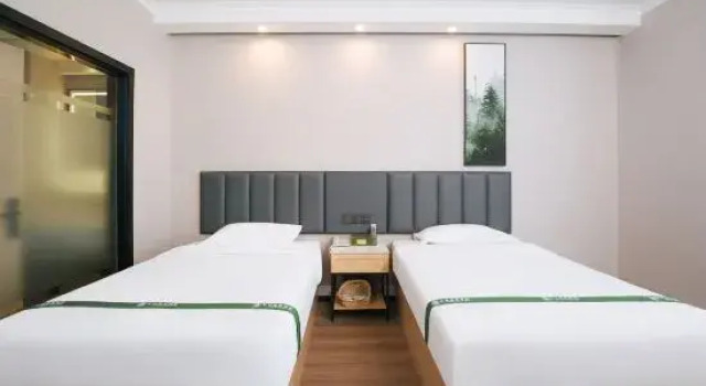 Номер Business GreenTree Inn Jiangsu Changzhou Hutang Textile City Business Hotel