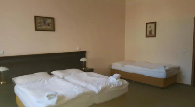 Трёхместный номер Standard Hotel U Zeleneho stromu