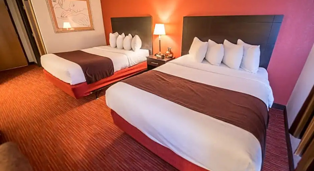 Run Of House 316 Hotel