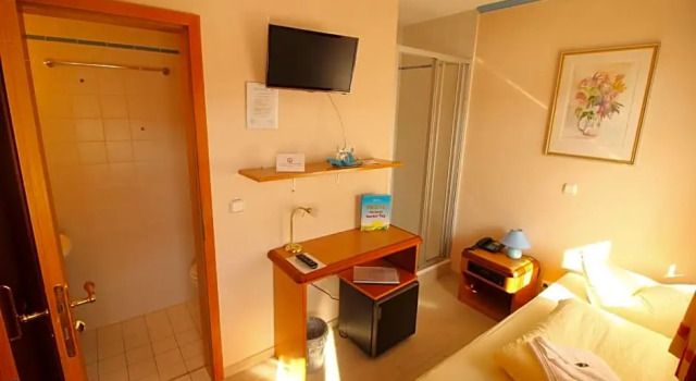 Одноместный номер Standard Hotel Zur Linde