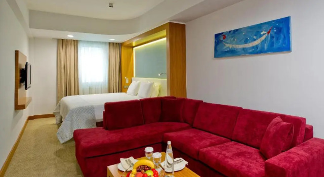 Двухместный номер Superior Divan Istanbul City