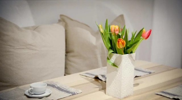 Monolocale City Center Apartment
