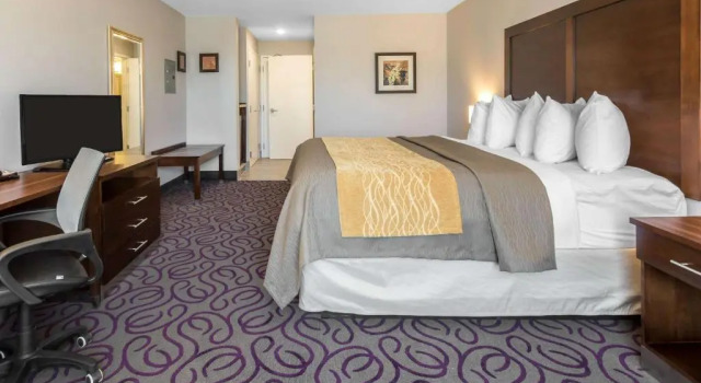 Номер Standard Comfort Inn & Suites Lovington