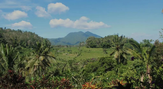 Pondok Lembah Dukuh Homestay, Reservar Hotel Ababi Indonésia