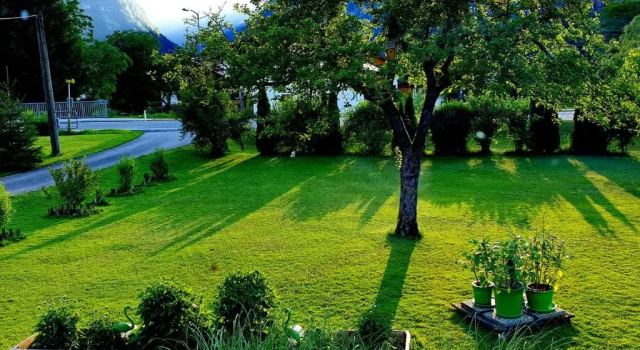 Haus Alpenblick