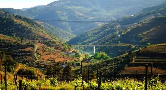 Casa Oliveiras do Douro, Забронировать Отель Отели Trás-os-Montes e Alto Douro с парковкой, Парковка