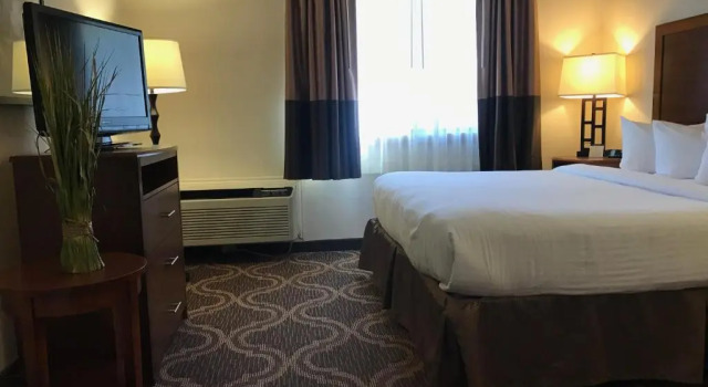 Люкс Ashmore Inn and Suites Lubbock