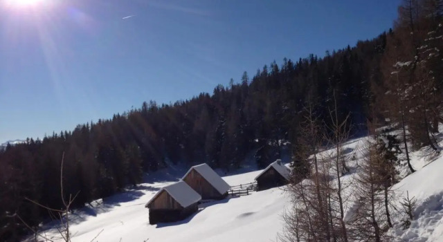 Номер Standard Ferienhaus Fanningberg