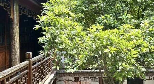 Chengxi Art Homestay, Book Hotel Shanghai Shanghai