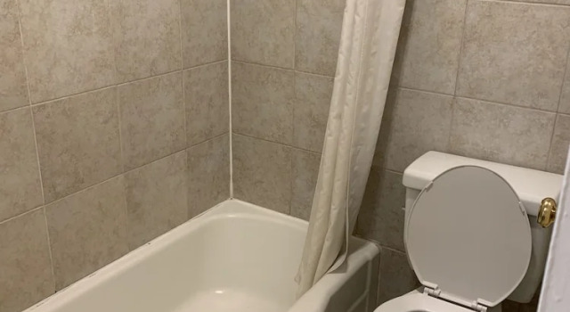 Четырёхместный номер Standard Scottish Inns Tonawanda