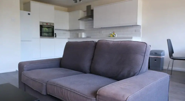 Spacious 3 Bedroom Apartment in Battersea With Terrace