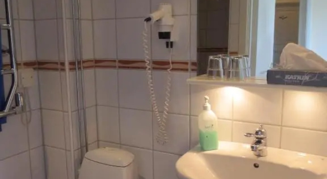 Двухместный номер Standard с видом на сад Järvsöbaden