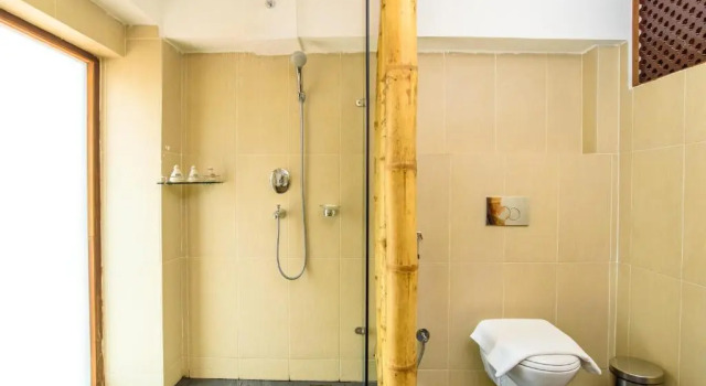 Люкс Hotel Timila
