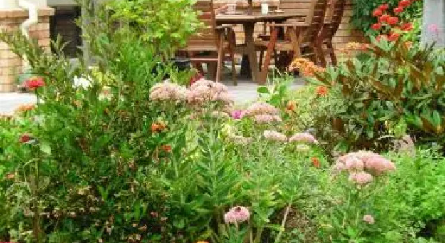 Maple House Homestay BB, Rezerwuj Hotel Rotorua 