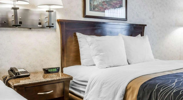 Четырёхместный номер Standard Comfort Inn Bellingham