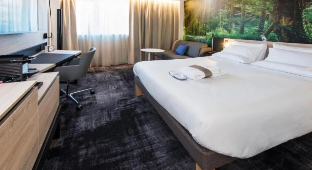 Двухместный номер Executive Novotel Rennes Alma