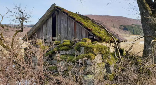 Kaline 1, Réserver Appartement Wildflecken 