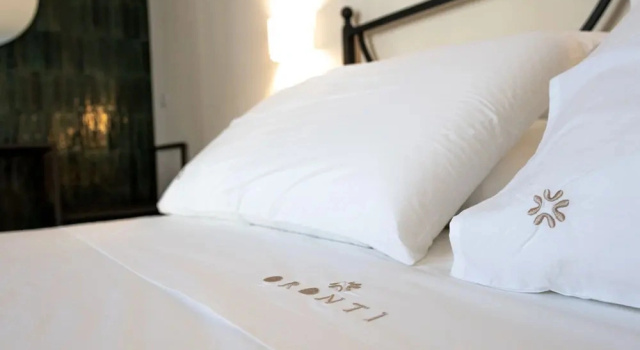Deluxe room Oronti Accommodations