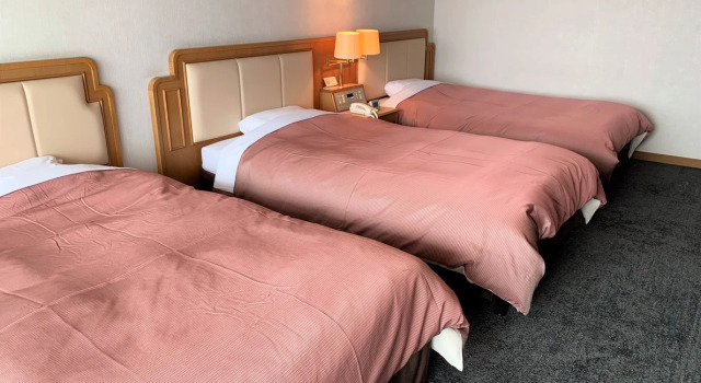 Трёхместный номер Standard с видом на океан Shibushiwan Daikoku Resort Hotel